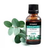 Vivamax Eukalyptus 100 % čistý éterický olej (10 ml)